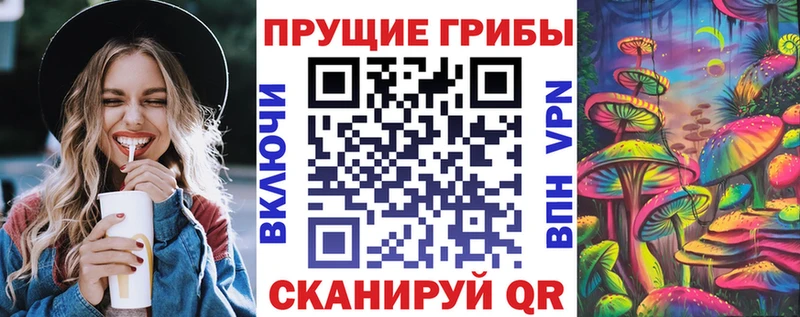 продажа наркотиков  Нефтекумск  Галлюциногенные грибы MAGIC MUSHROOMS 