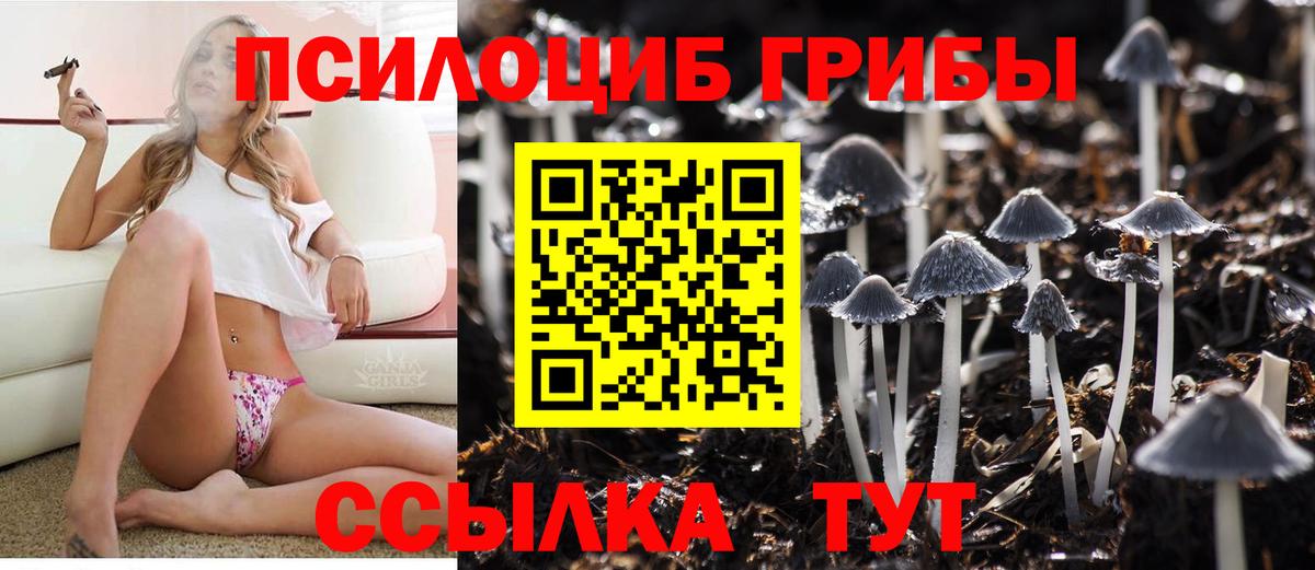 закладки  Вход с VPN  Нефтекумск  Псилоцибиновые грибы прущие грибы  Галлюциногенные грибы MAGIC MUSHROOMS 
